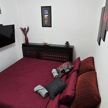 Lux Stojanovic 贝尔格莱德