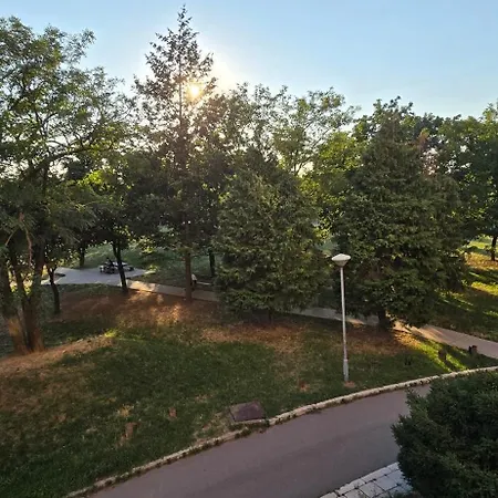 Lux Stojanovic Daire